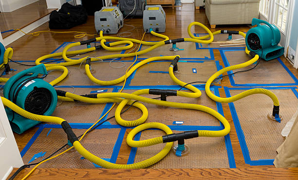 Professional Crawl Space Water Removal technician working in Ottine, TX